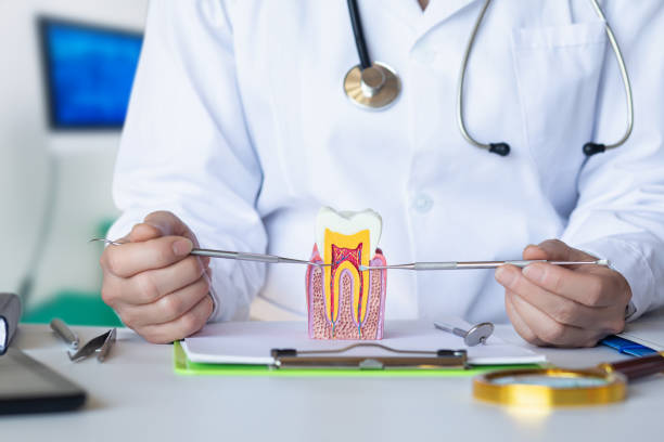 Best Cracked Tooth Emergency Dentist  in North Industry, OH